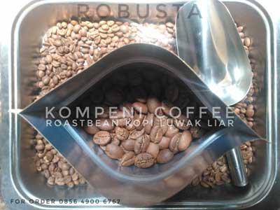 Kopi Luwak Liar kOMPENI